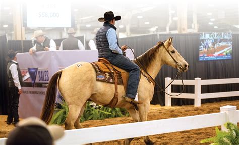 Triangles Fall Sale, hosted during the Farnam AQHA and Adequan&174; Select World, is slated for October 28-29, its Winter Sale is January 27-28 and the Spring Sale is scheduled for May 5-6. . Triangle horse sales